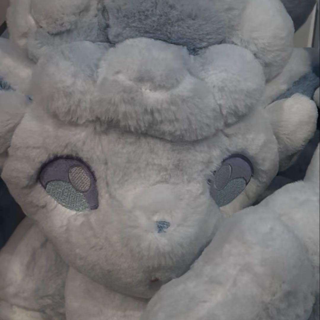 ふわふわ抱きぬいぐるみ アローラロコン