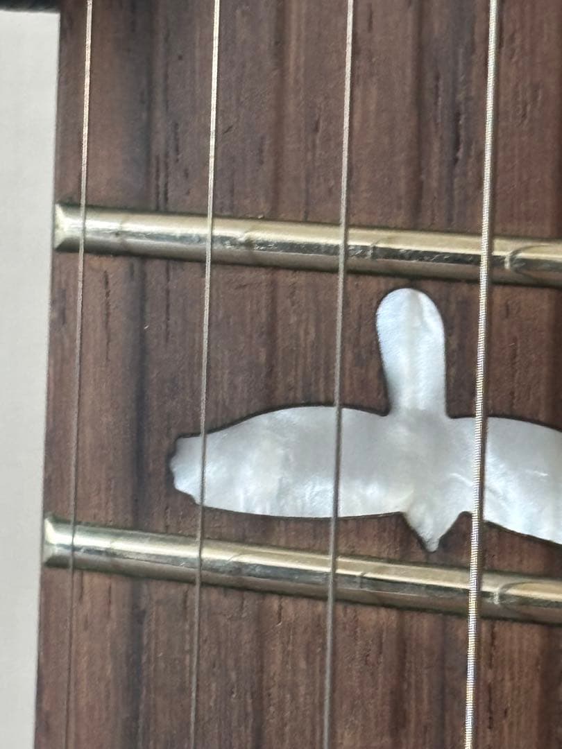 ギター PRS SE Custom 24 Lefty