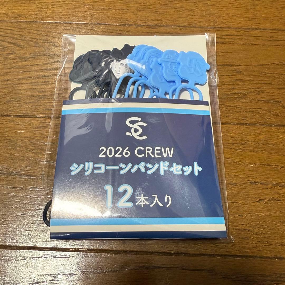 【新品未開封】東京ヤクルトスワローズ グッズ つば九郎 非売品