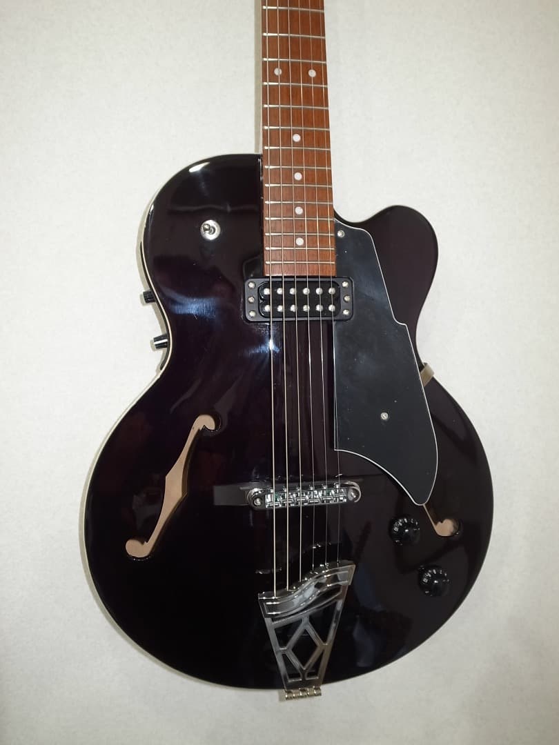 ル*ー様 美品VOX Giulietta VGA-3D Trans Black