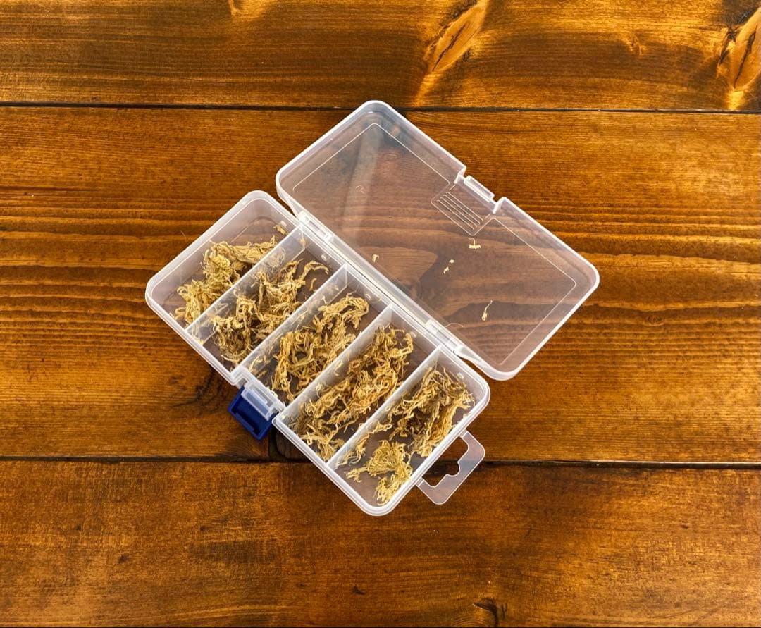 クワガタ採集セット　オリジナル掻き出し棒　デジタルノギス　懐中電灯　採集ケース