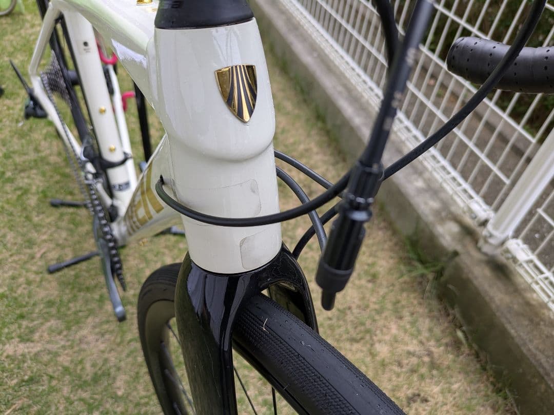 TREK DOMANE AL4 GEN3 2023 49サイズ ホイール交換済