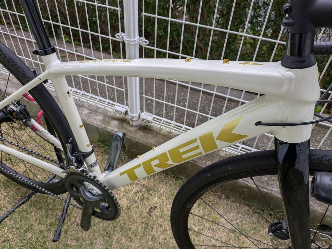 TREK DOMANE AL4 GEN3 2023 49サイズ ホイール交換済