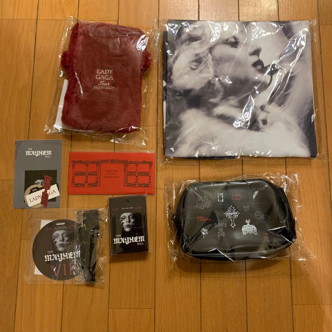 Lady Gaga マルチアイテムセット