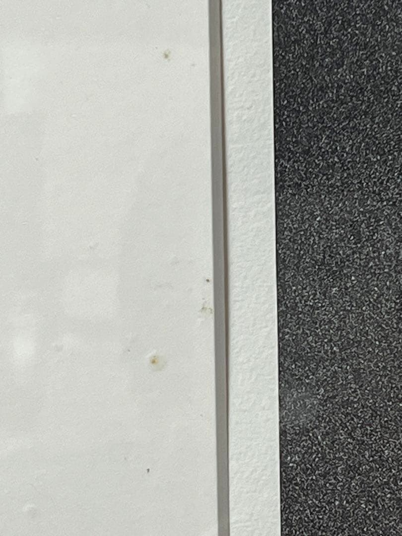 D.Gray-man ディーグレイマン　ジャンプフェスタ　原画