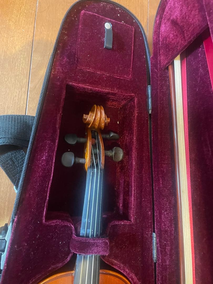 Eastman イーストマン　VL100 1/2 2004年製