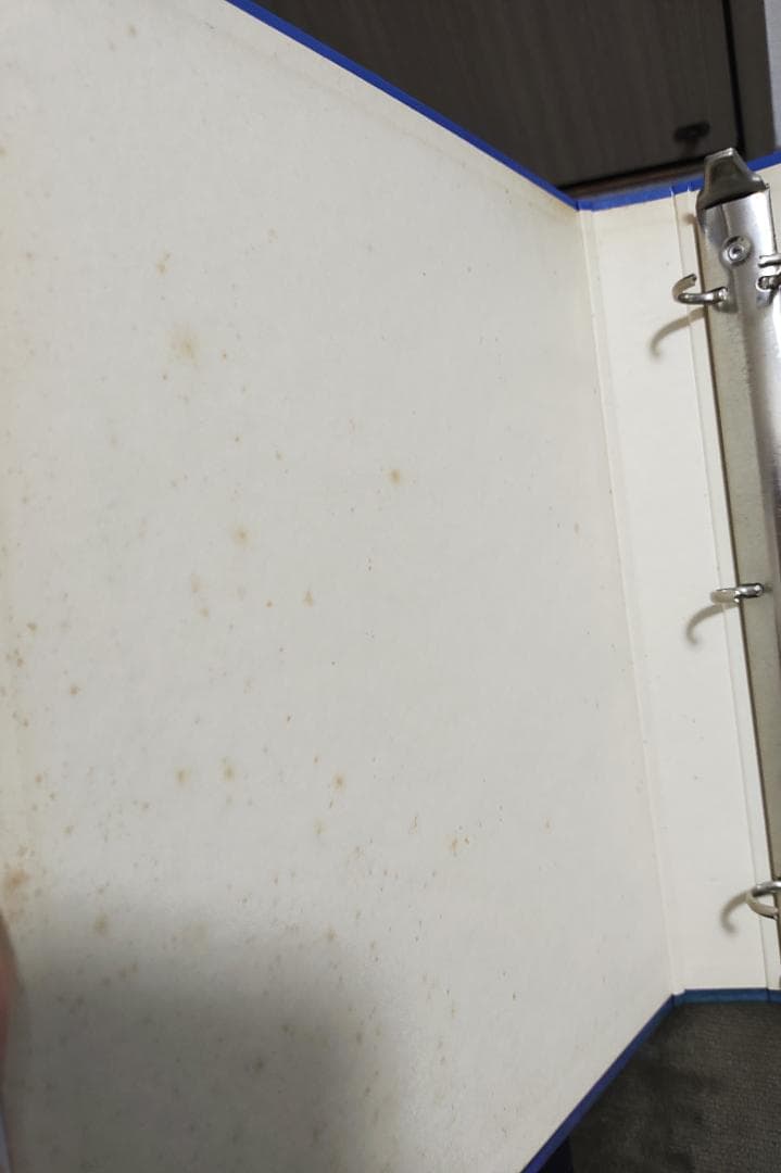 ☆２０２枚　逮捕しちゃうぞ　バインダー＋トレーディングカード　まとめて