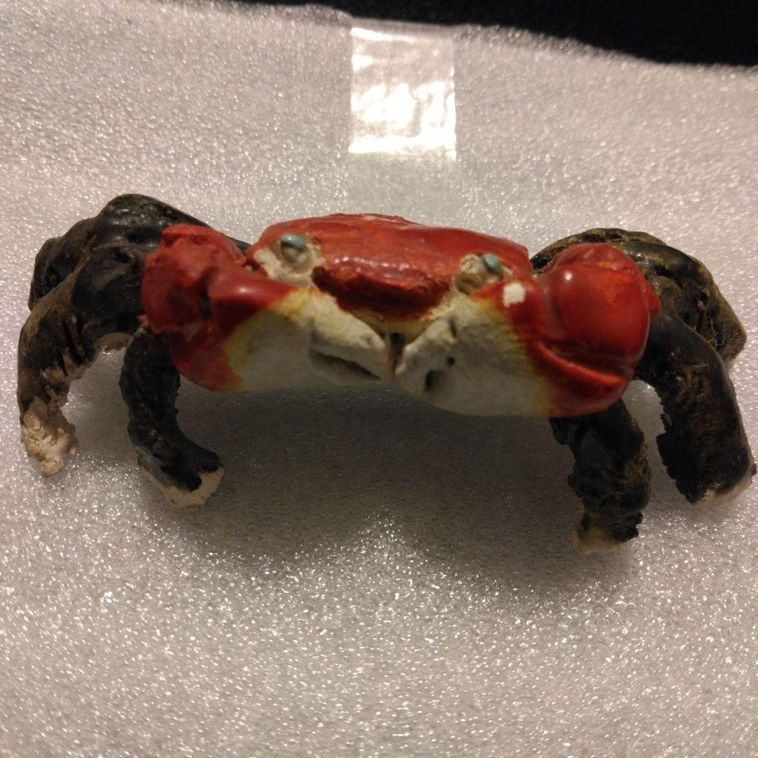 古い蟹　水月焼　楽山　二六