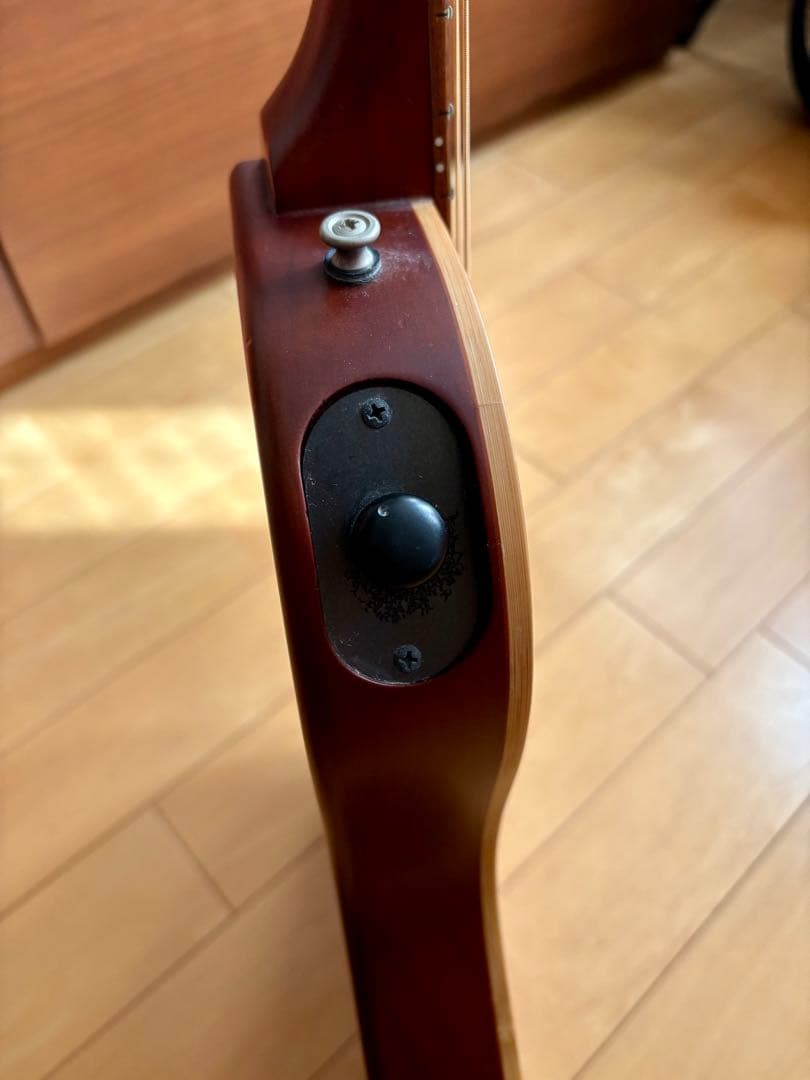 【希少】ESP Char 監修BambooInn-CE バンブーイン エレアコ