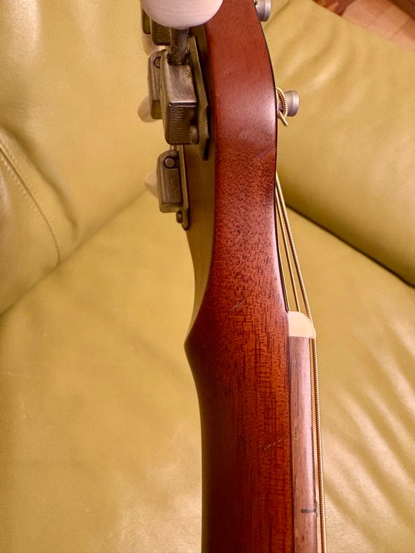 【希少】ESP Char 監修BambooInn-CE バンブーイン エレアコ