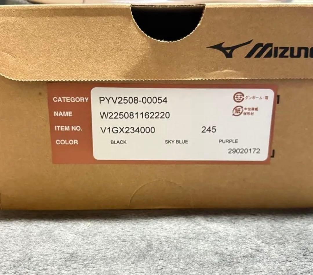 バレーボールシューズ MIZUNO