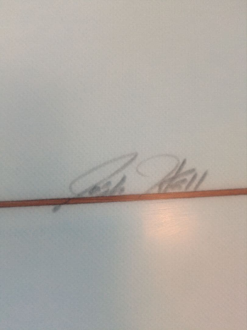 JOSH HALL ジョシュ ホール ジプシー7'8 トライフィン