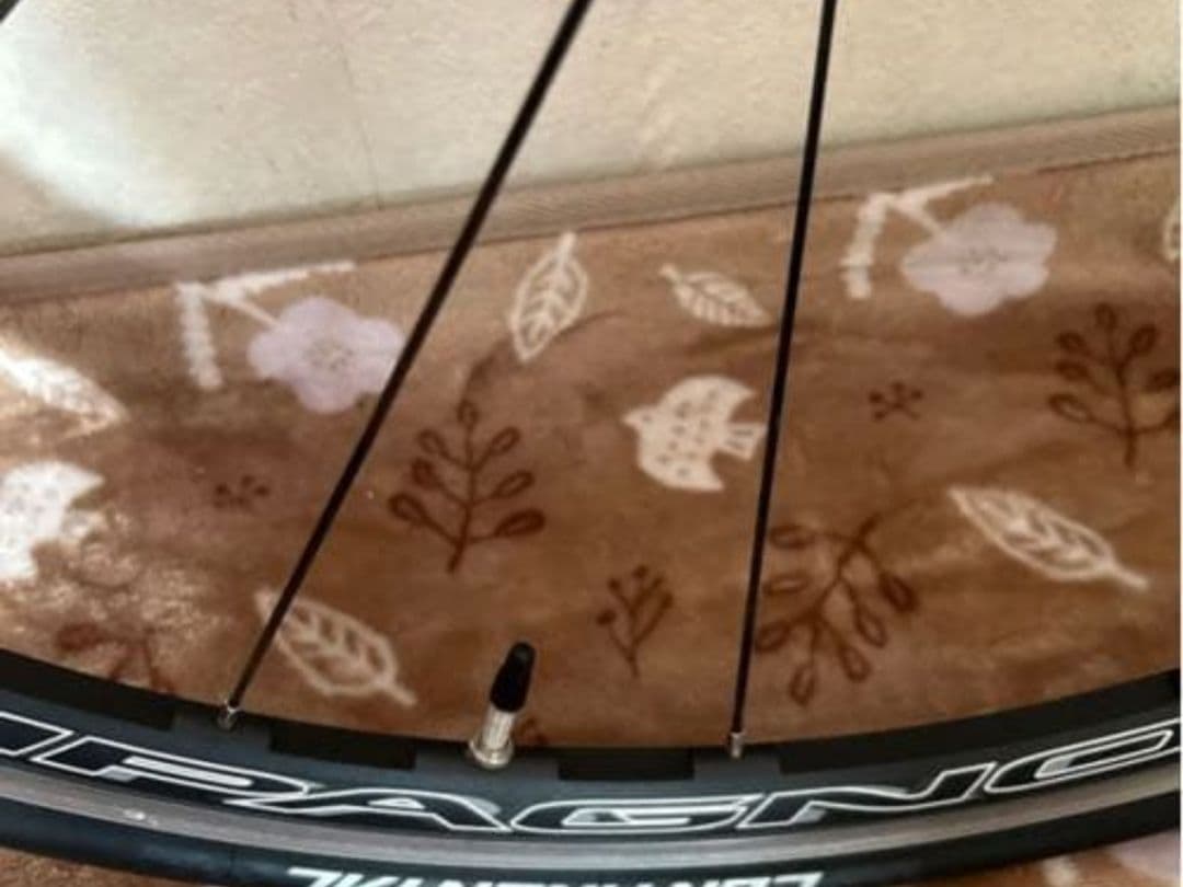 カンパニョーロ ゾンダ 17C ワイドリム クリンチャー