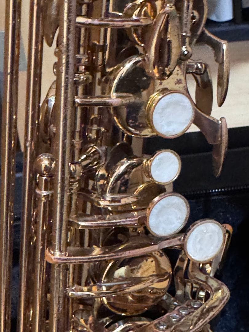 kaerntner ケルントナー　アルトサックス