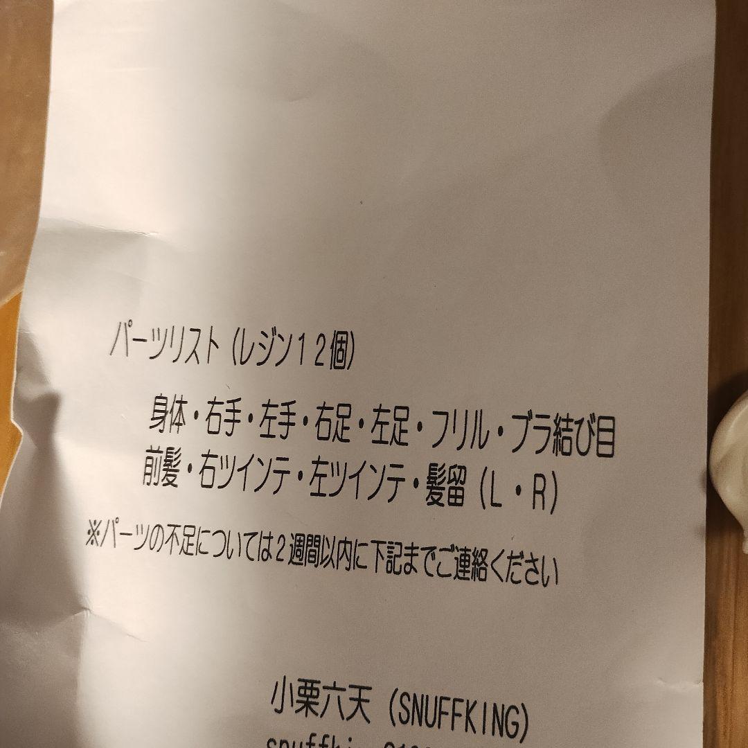 未組立　サザキ・カオルコ（水着ver.）ガンダムビルドファイターズ　レジンキット