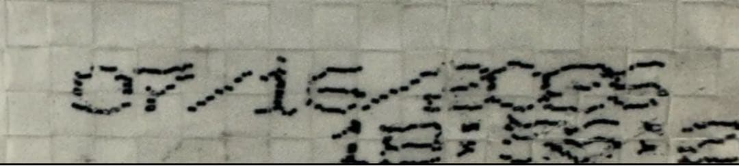 セレクトバランス スリム ラム 小粒 成犬 体重管理用 15kg