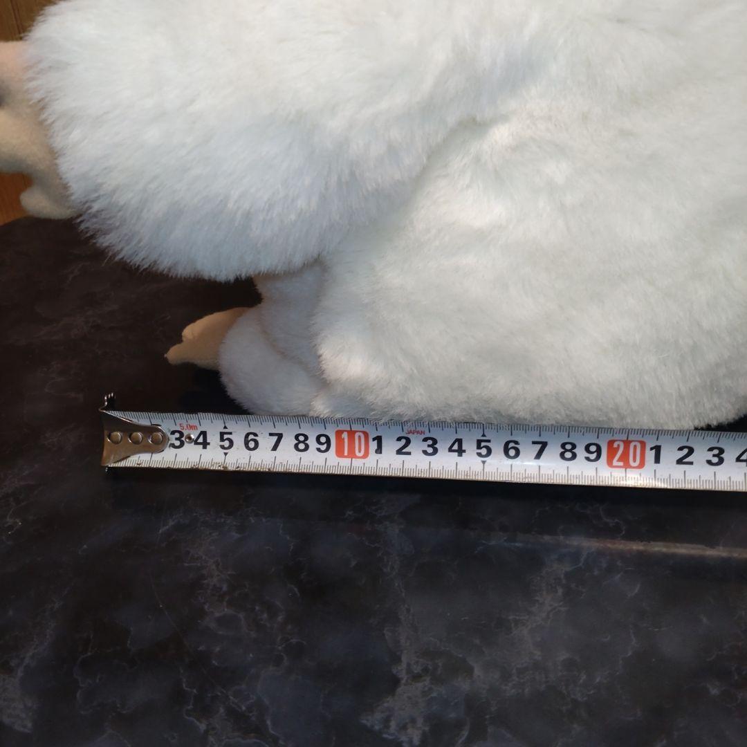 Sun Rise レッサーパンダ