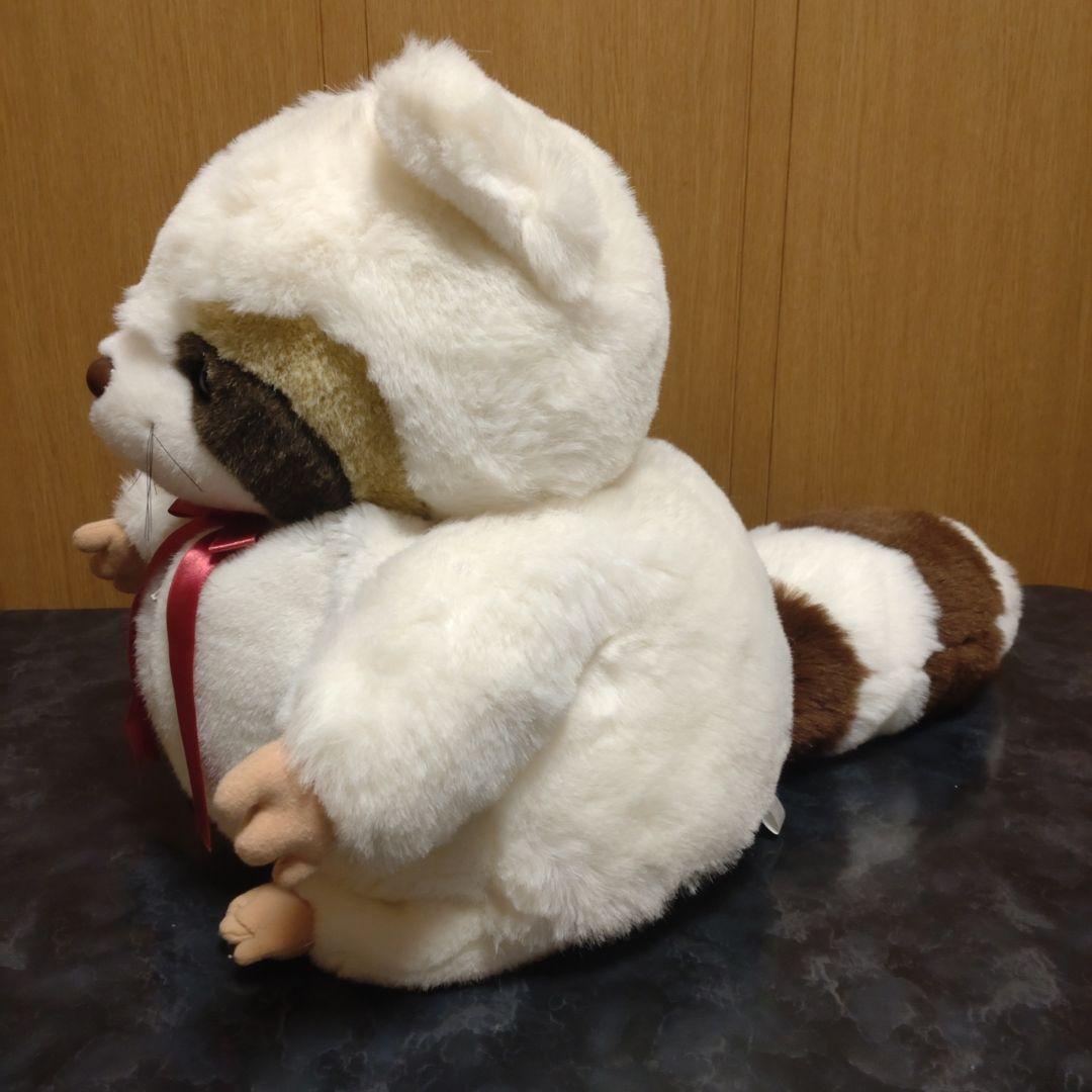 Sun Rise レッサーパンダ