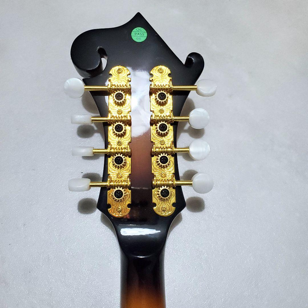 【極美品✨️】ARIA AM-40 フラットマンドリン ハードケース付き