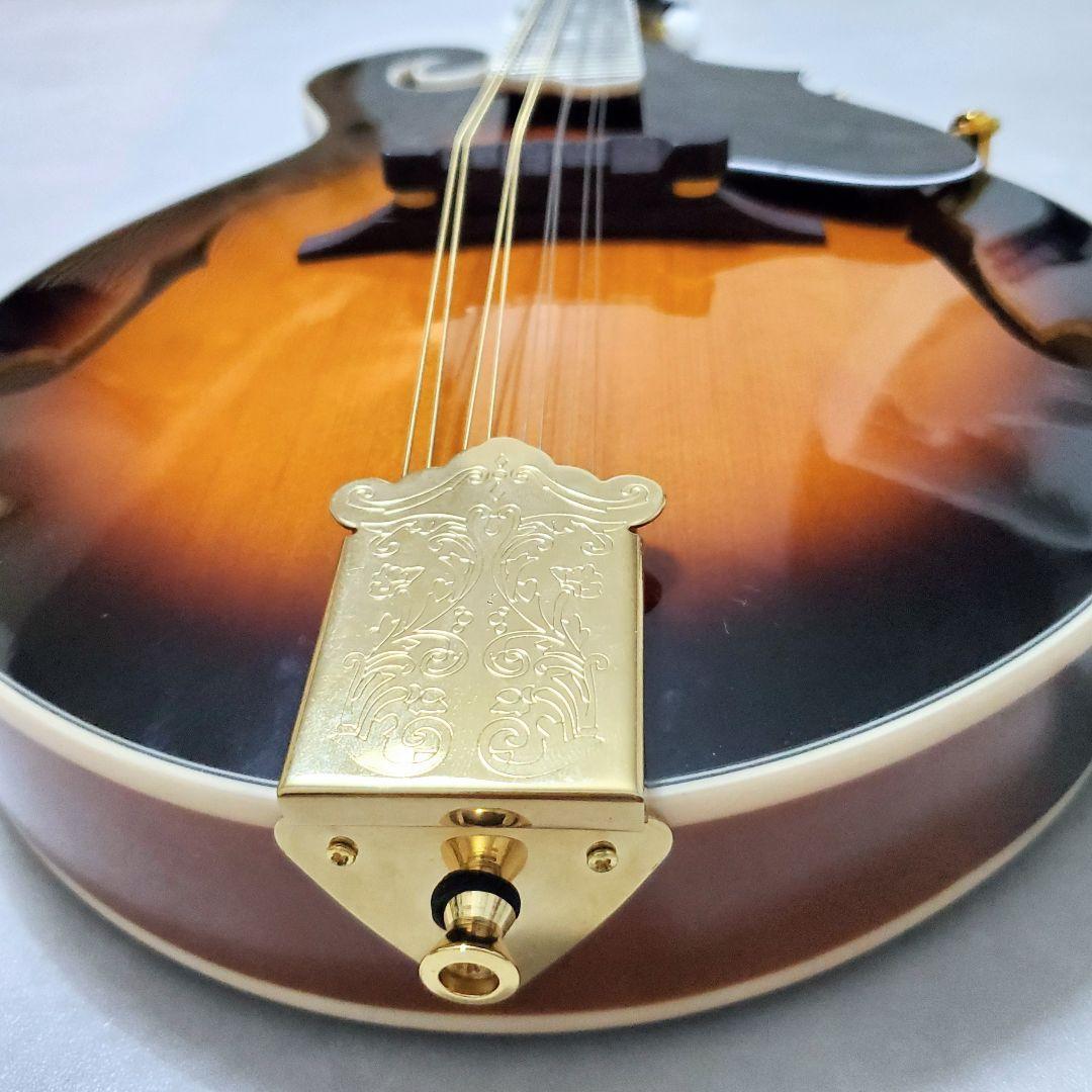 【極美品✨️】ARIA AM-40 フラットマンドリン ハードケース付き