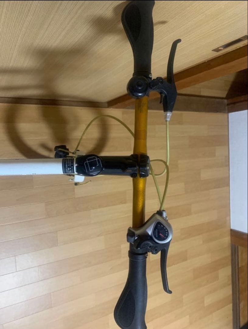 DOPPEL GANGER 550 INTERLAGOS 20インチ ミニベロ