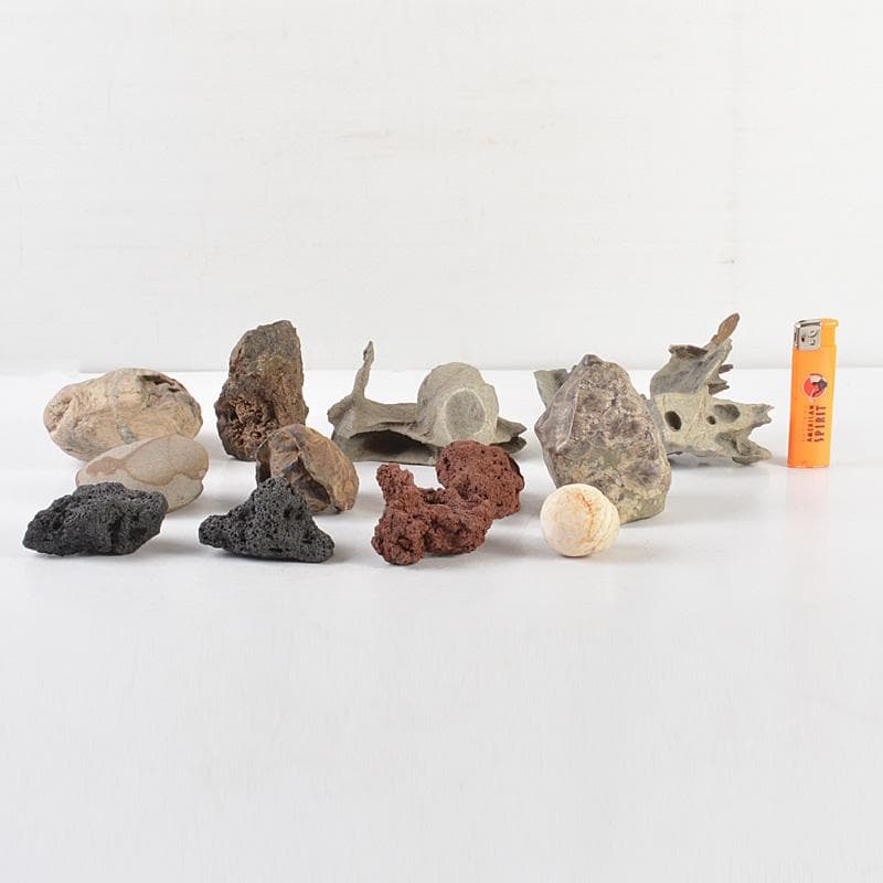 鑑賞石　天然石　木化石　梅化石など　置物　12点まとめて　C　R6254C