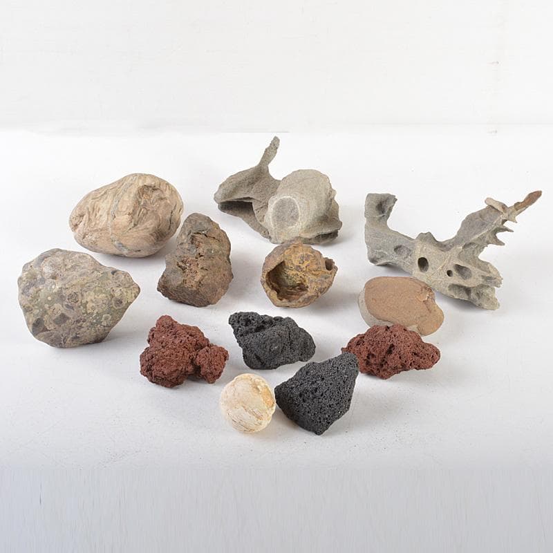 鑑賞石　天然石　木化石　梅化石など　置物　12点まとめて　C　R6254C