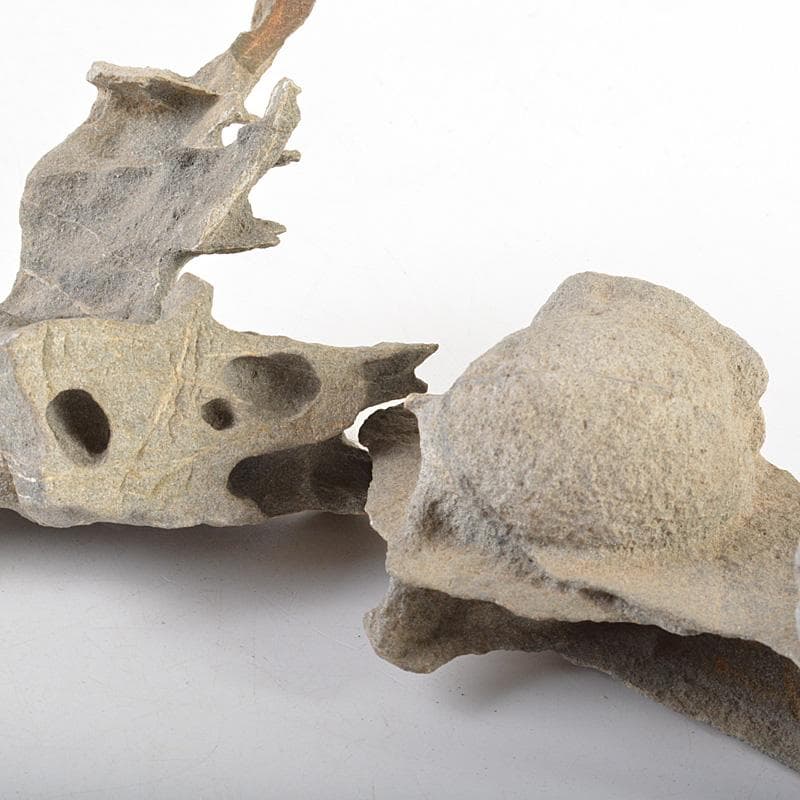 鑑賞石　天然石　木化石　梅化石など　置物　12点まとめて　C　R6254C