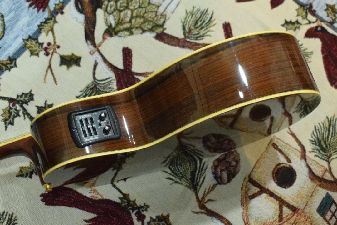 ギター YAMAHA COMPASS SERIES CPX-10 TBS