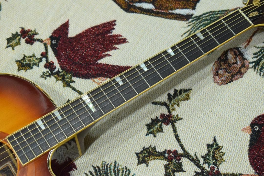 ギター YAMAHA COMPASS SERIES CPX-10 TBS