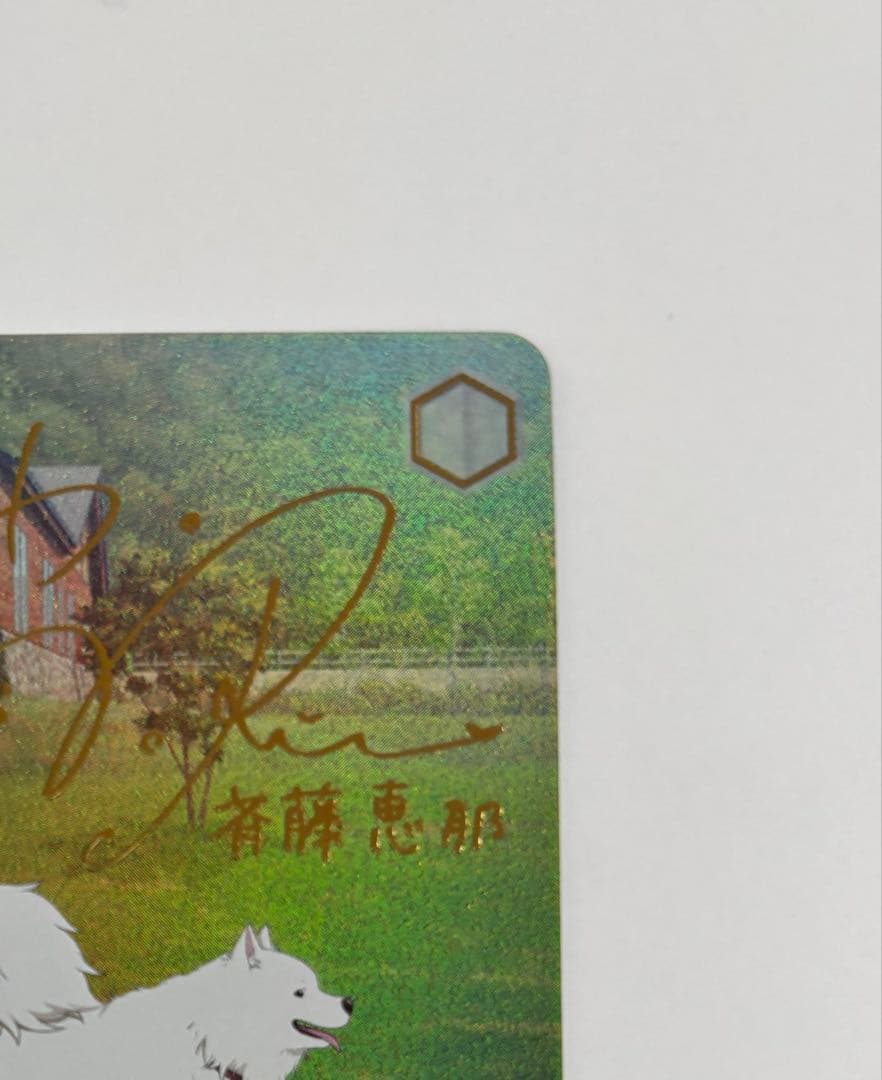 【ヴァイスシュバルツ】キャンプ場でおさんぽ 恵那&はんぺん&ちくわ