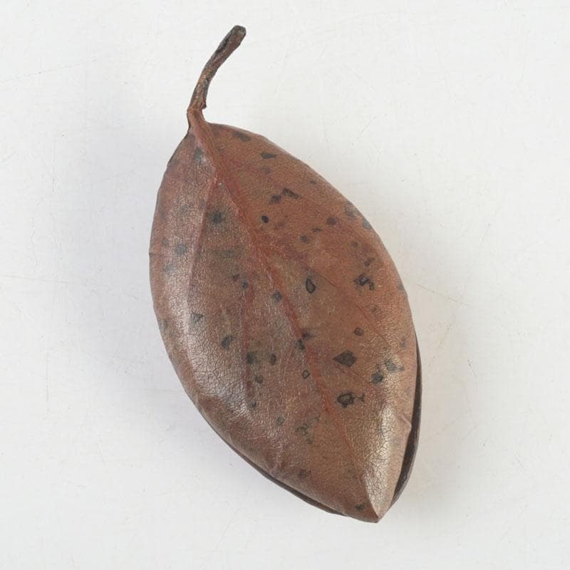 茶道具　山中塗師　新井宗賀作　乾漆　柿ノ葉香合　共箱　V　9706