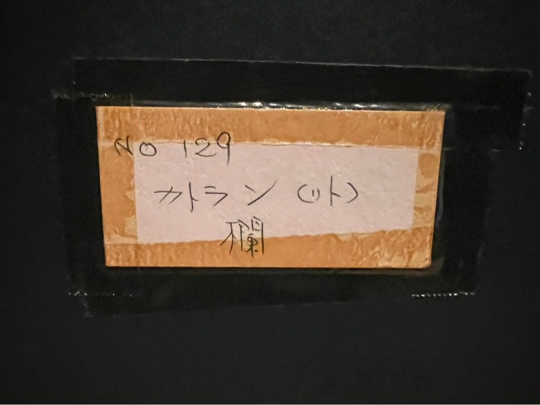 ベルナール カトラン リトグラフ ポスター 欄 絵画 額縁 アート インテリア