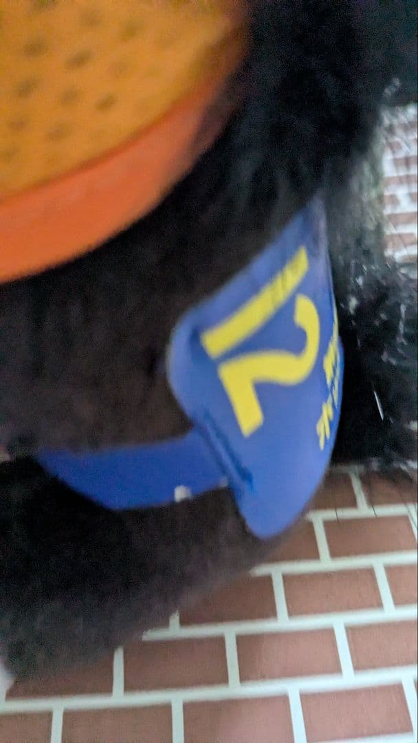 第65回川崎記念 ホッコータルマエ ぬいぐるみ　マスコットアイドルホース