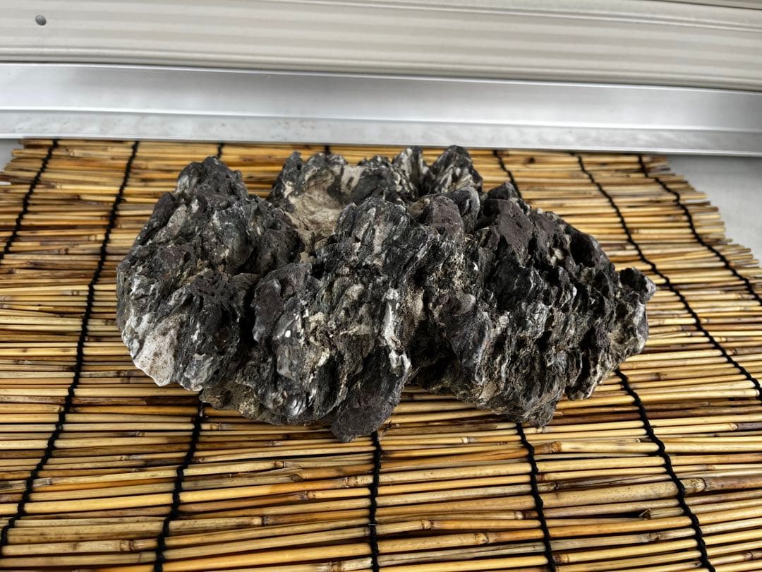 佐治石〈29〉【Taiyoメダカ】