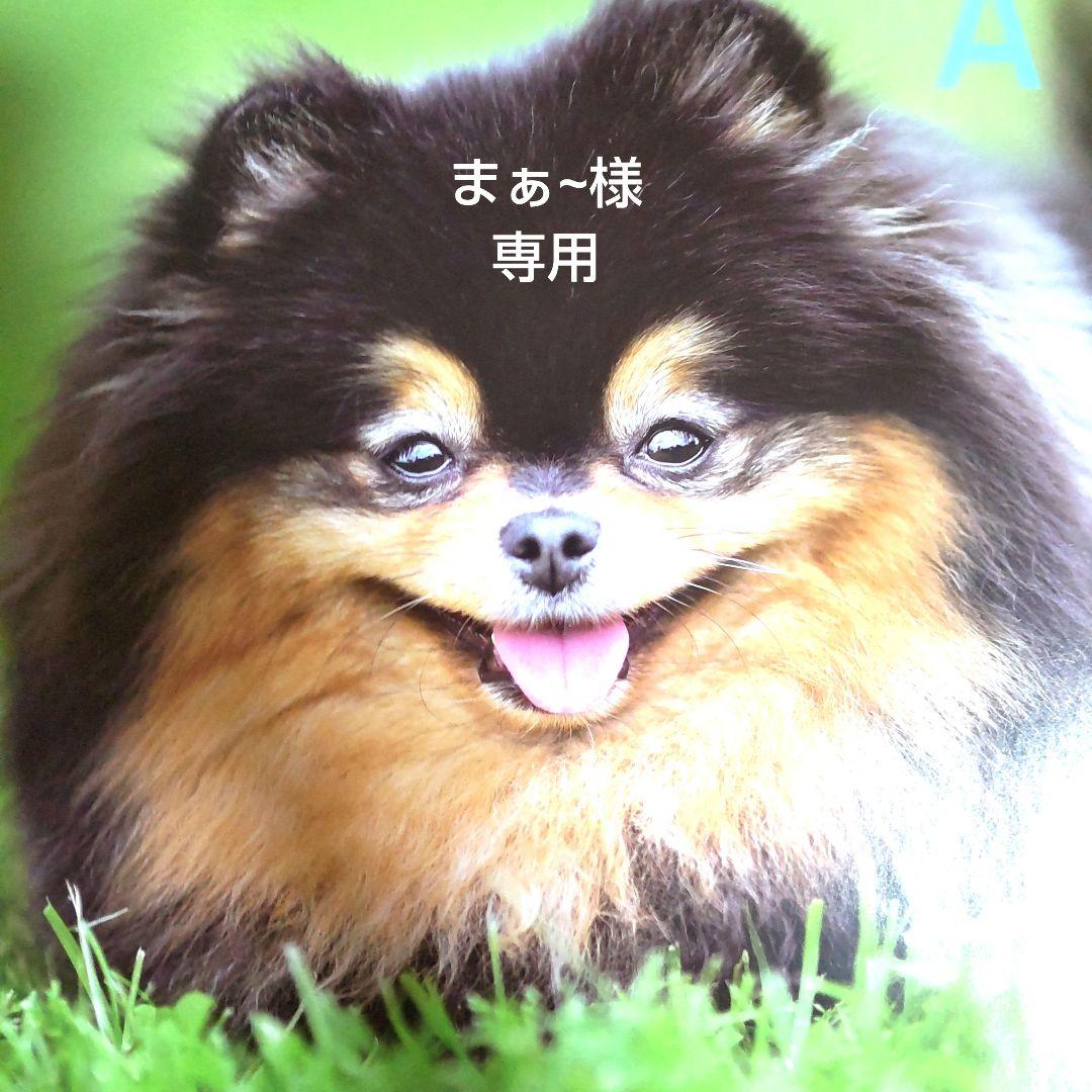 まぁ~ バレンタインプチギフト ラブブ❤️ギフト