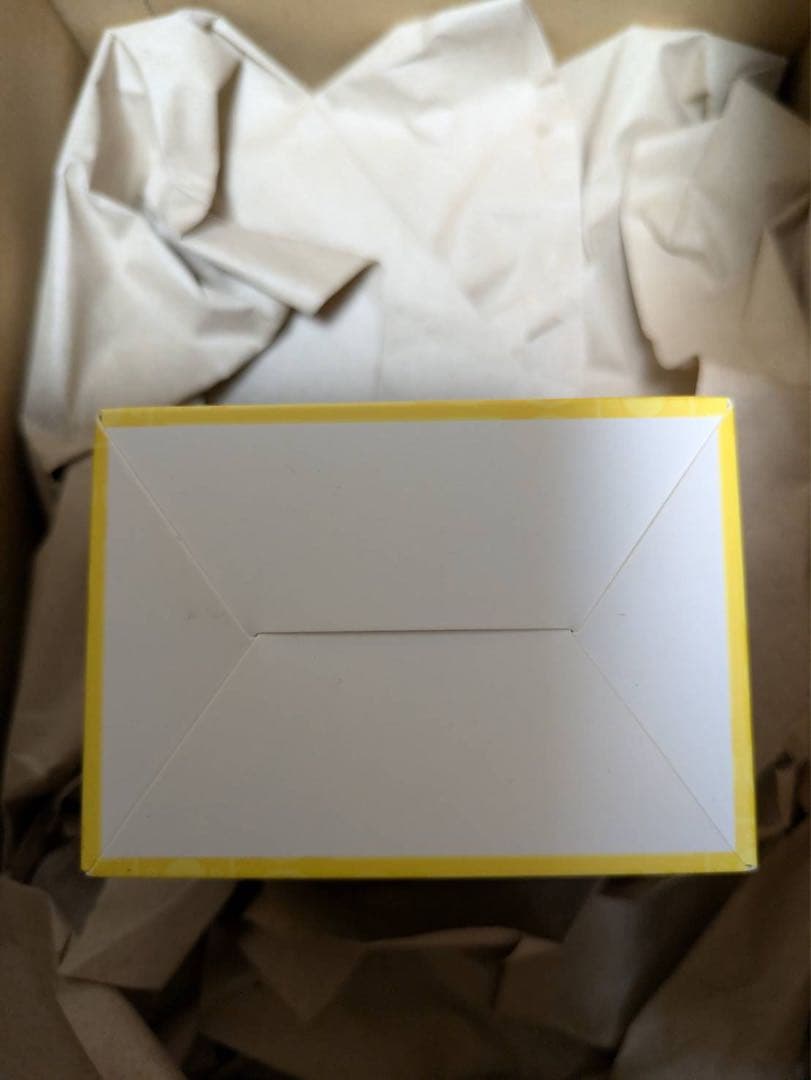 横浜記念デッキ ピカチュウWCS2023横浜 ポケモンカード