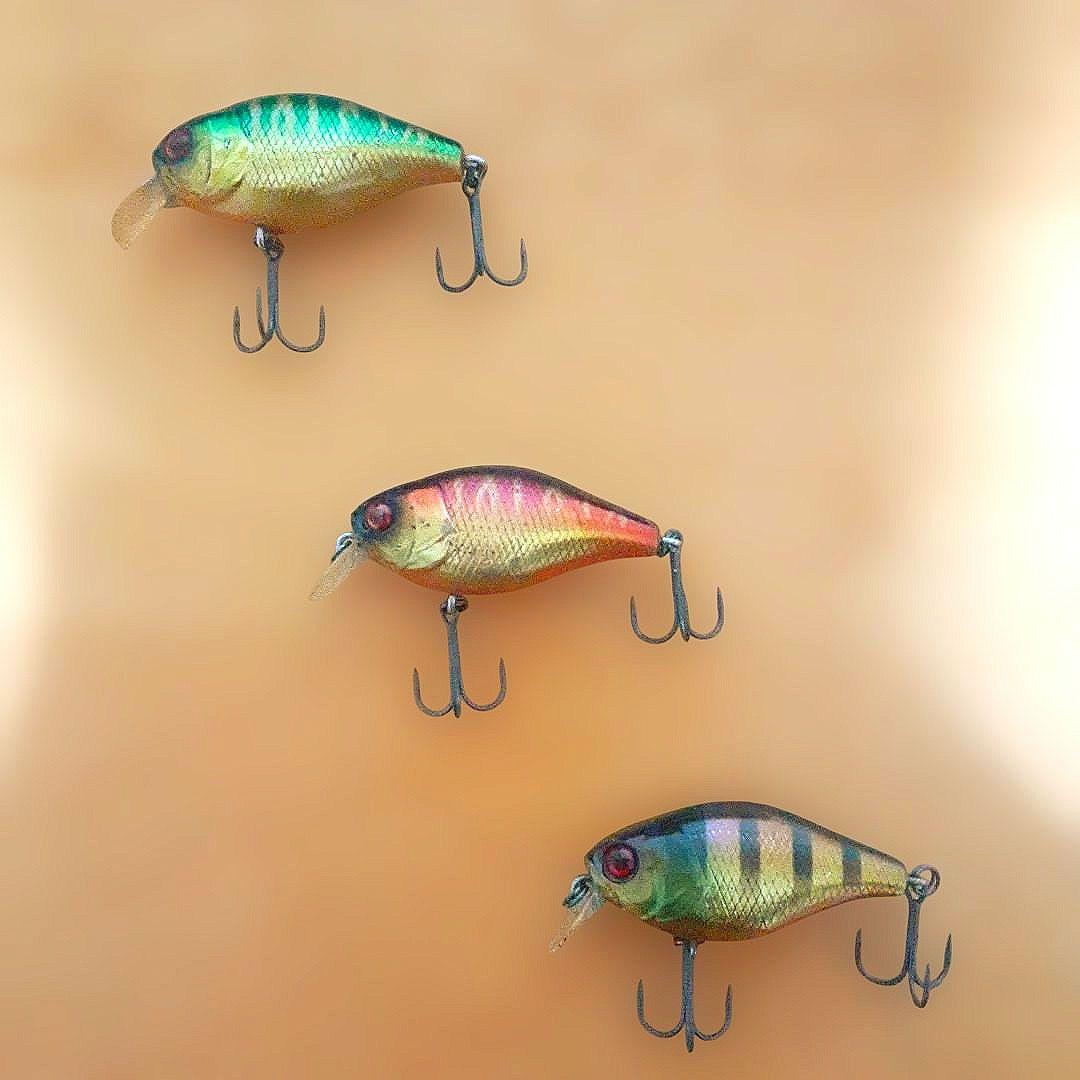 【セット販売】‼️ジャッカル レイクポリス チェリー‼️