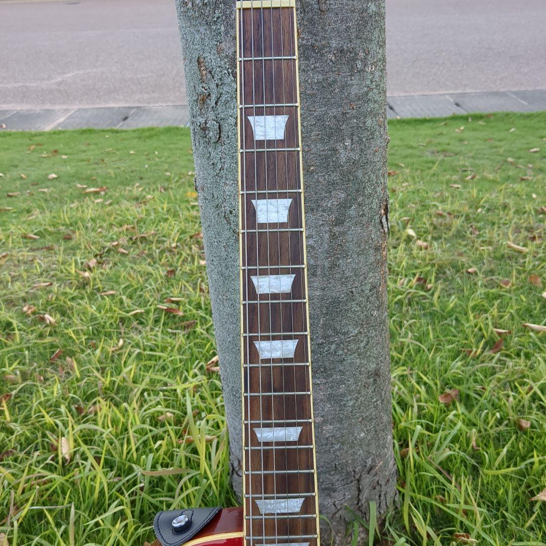 Bitz Leopard エレキギター サンバースト 傷あり 音よし