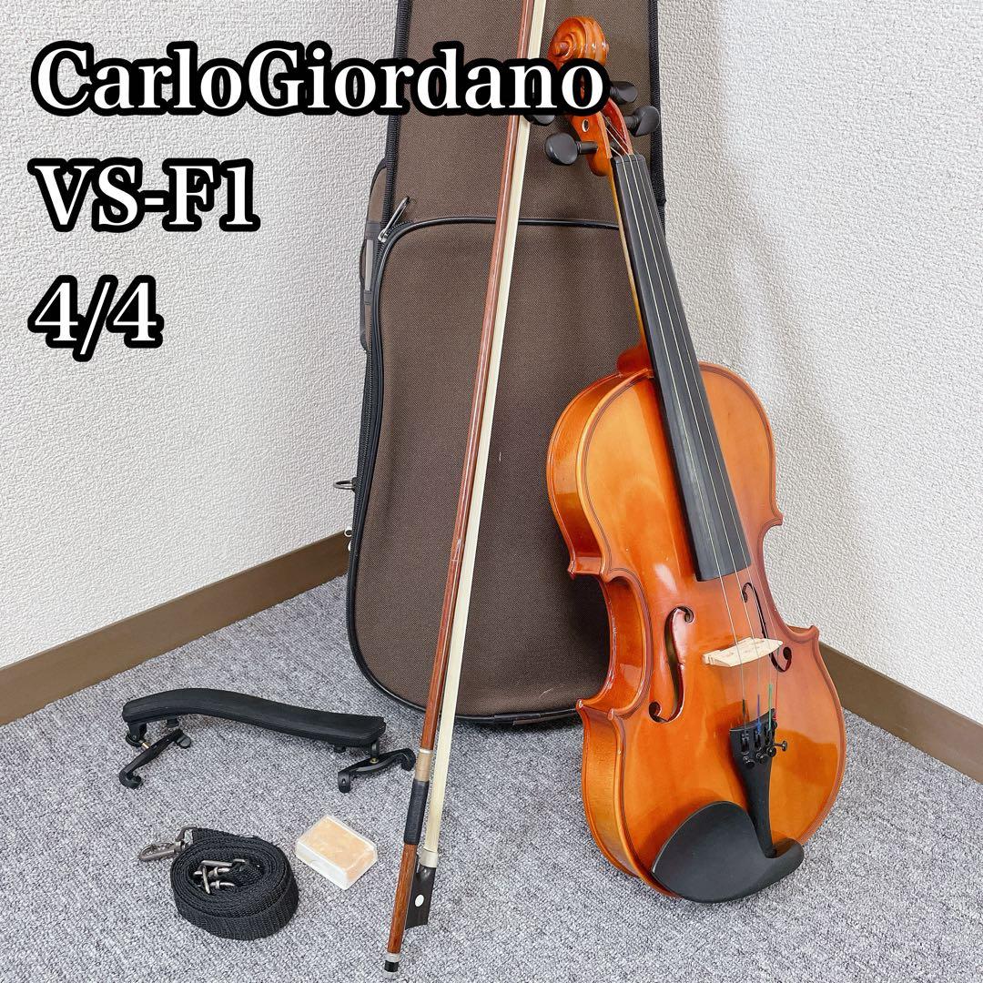 CarloGiordano バイオリン VS-F1 4/4 2013 弦楽器
