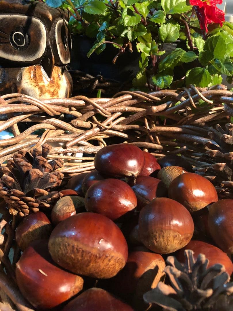 【新月様ご依頼分】専用大粒②ネット＋むき栗②＋手書きクール便＋北海道送料1460