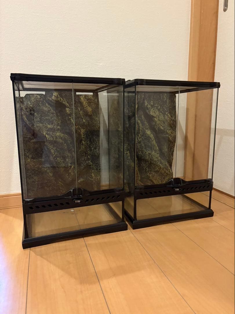 直接引き取り　GEX ジェックス　エキゾテラ　グラステラリウム　3045