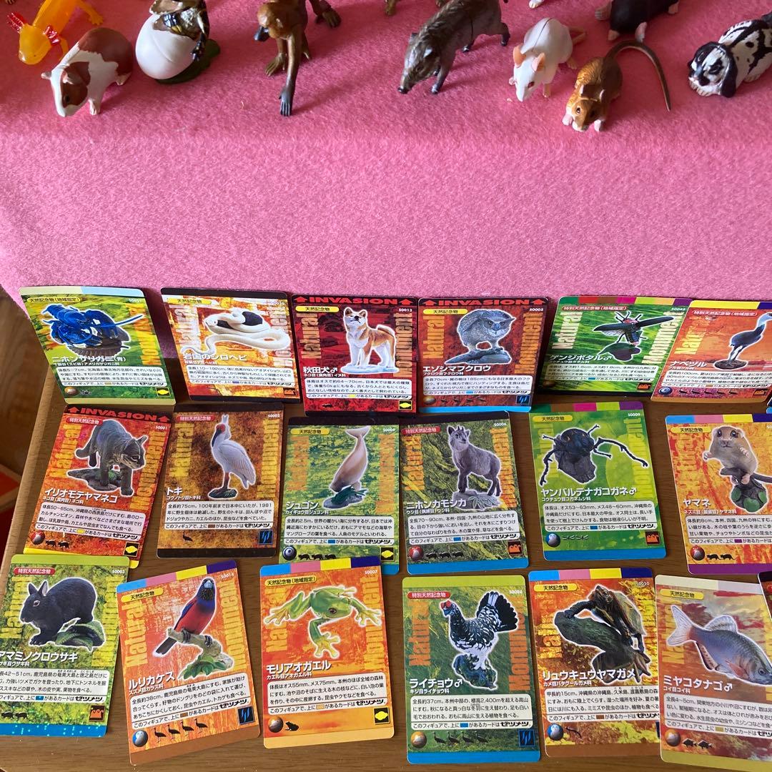 海洋生物動物フィギュアセットわがままな日本の天然記念物カード50枚以上特別ケース