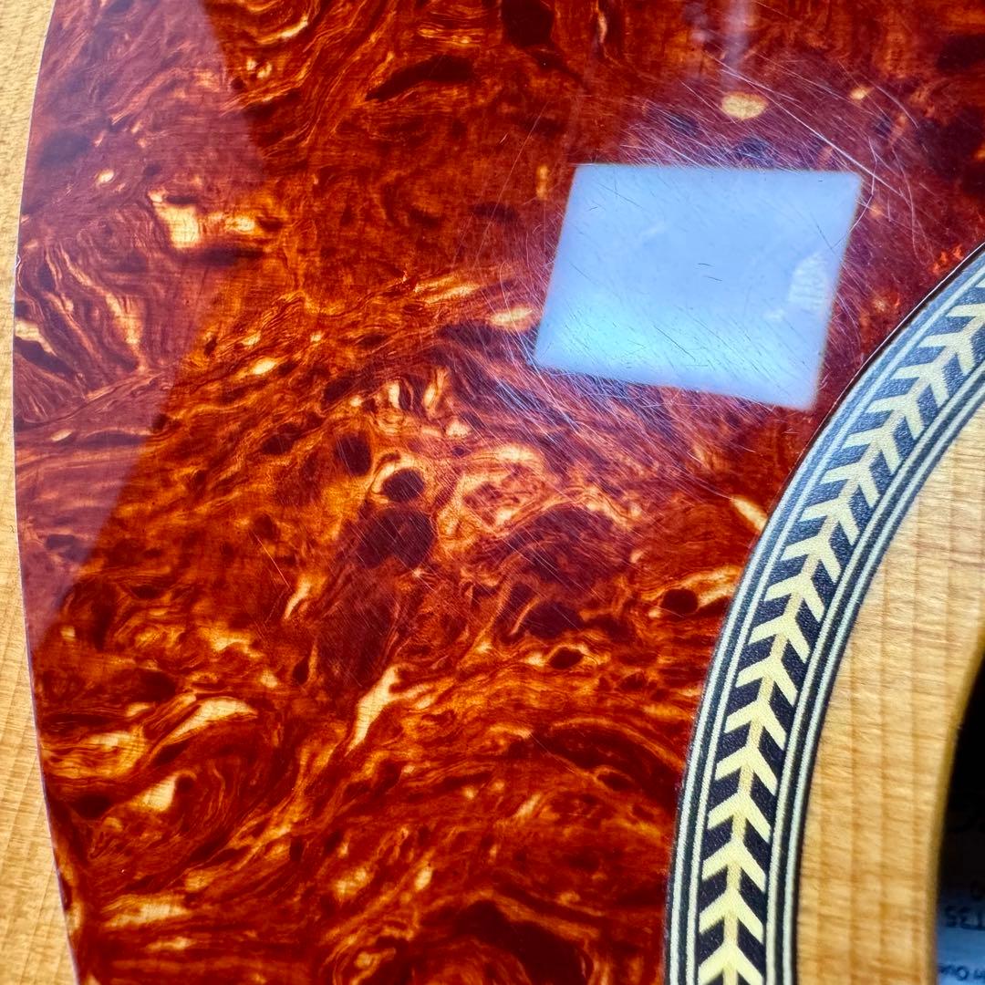 【訳あり】 Seagull シーガル AT SG T35 エレアコ アコギ