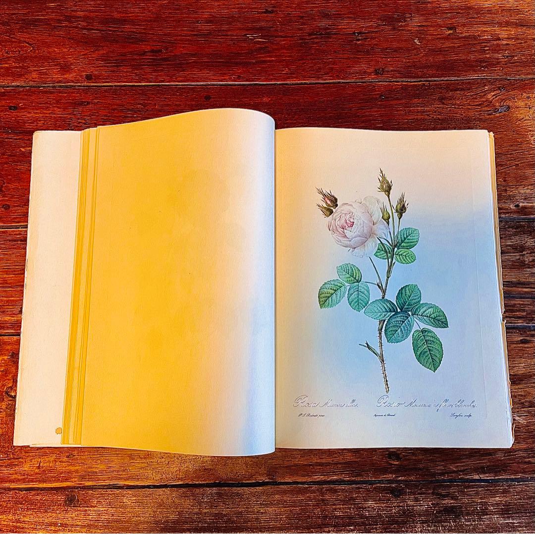 超希少！50年代洋書 ピエール ジョゼフルドゥーテ アンティーク薔薇画集