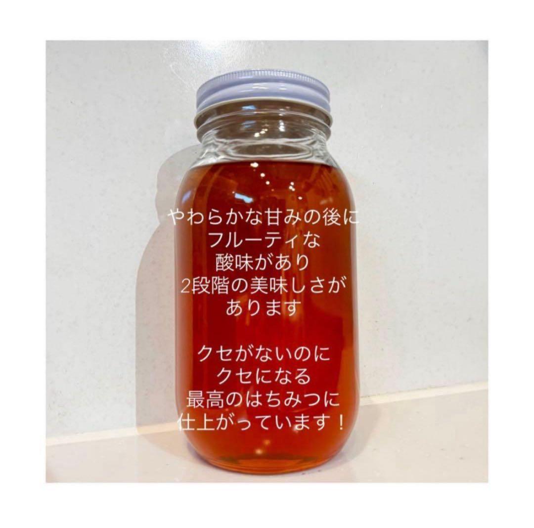 高知県産　生百花蜜　生はちみつ　無添加　非加熱　日本蜜蜂　生きた酵素