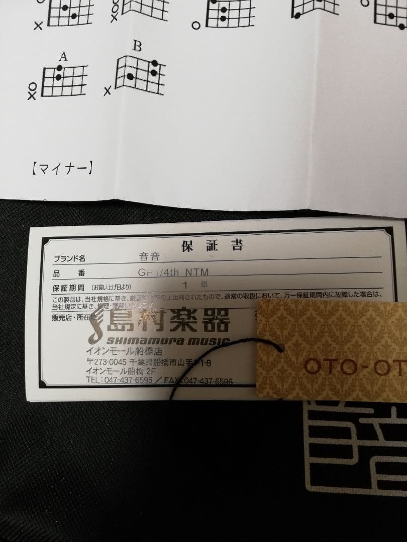 [超希少❗]4弦アコースティックミニギター 音音GP-1 /4th NTM
