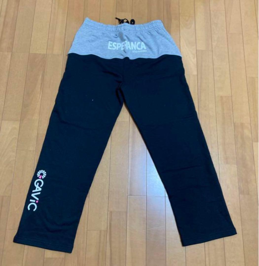 gavic ガビック　スウェット　パーカー　サイズL