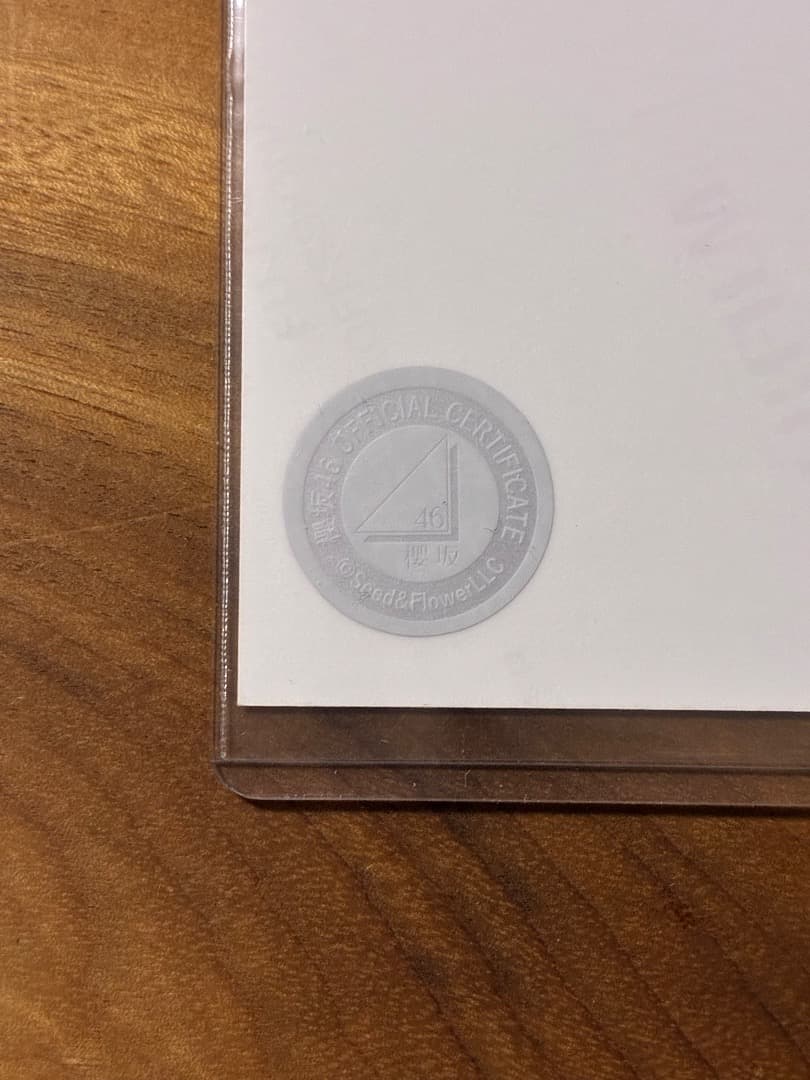 櫻坂46　松田里奈　2024 浴衣　直筆サイン入り生写真