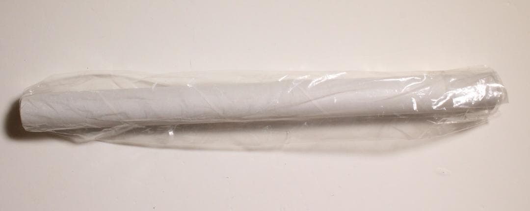 機動戦士ガンダムSEED DESTINY ポスター ルナマリア＆メイリン 新品